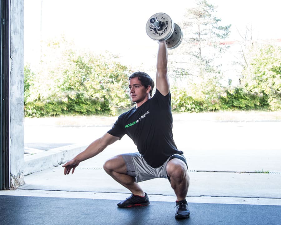 Rogue dumbbells sales uk